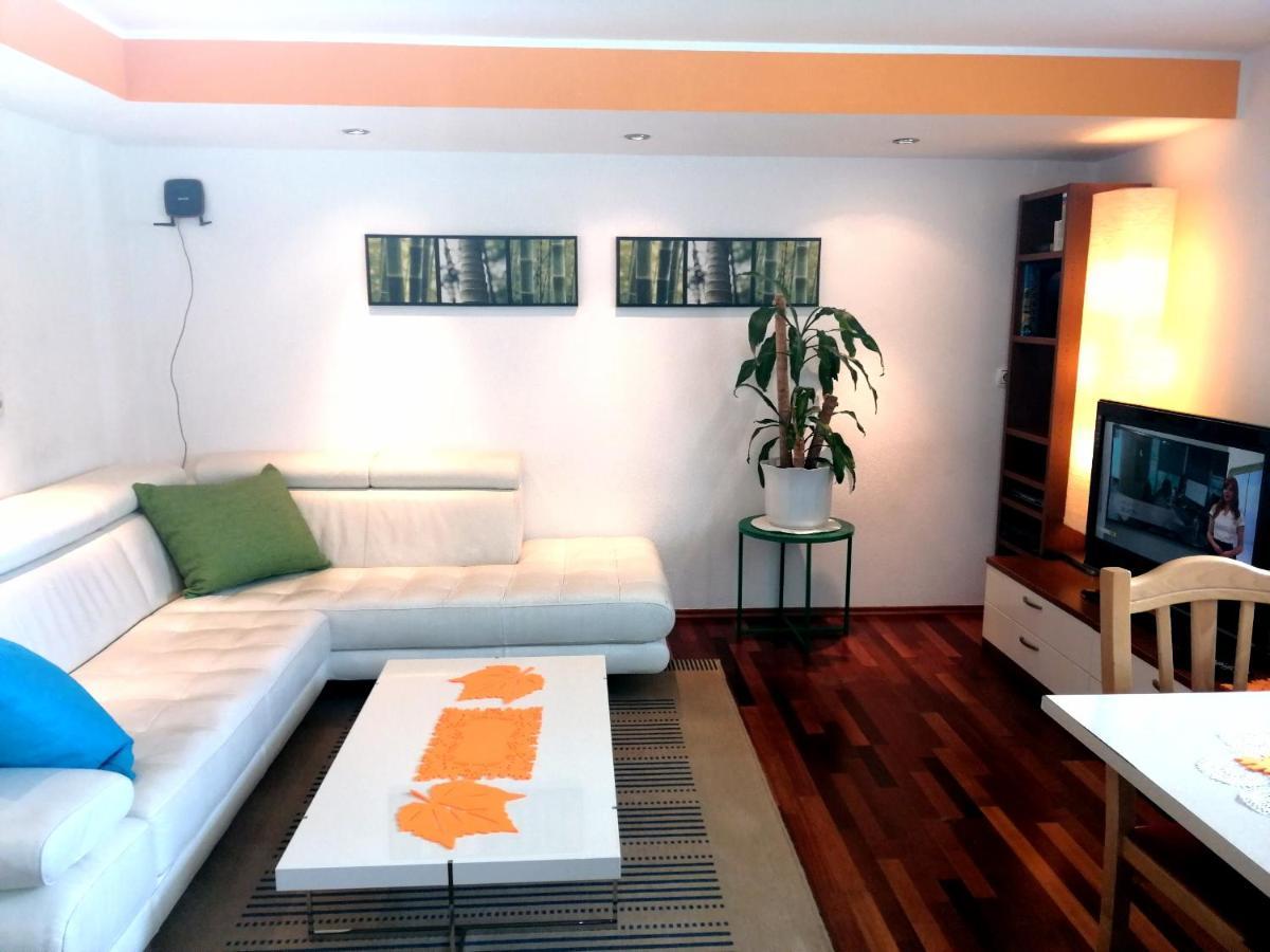 Rodine Mateja House - Apartments In Zirovnica מראה חיצוני תמונה